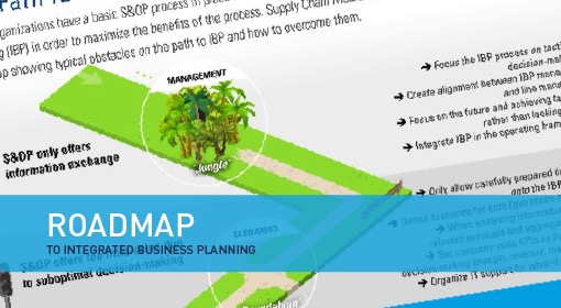 Roadmap To Integrated Business Planning ENG